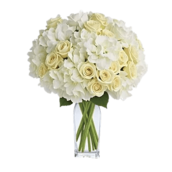 Ivory Blossom Radiance