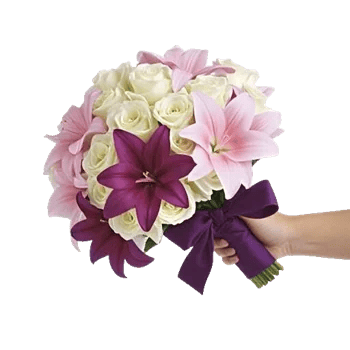 Blushing Rose Symphony