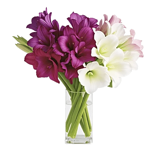 Ivory Blossom Radiance