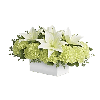 Graceful Lily Display