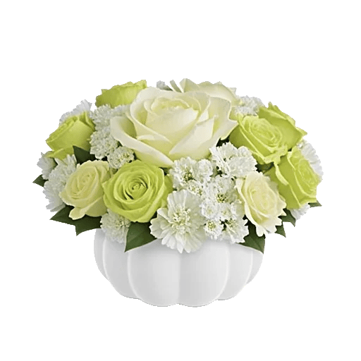 Minimalist White Orchids