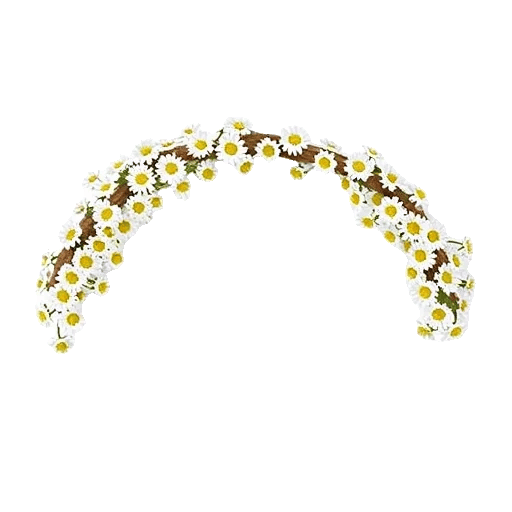 Delicate Petal Cascade