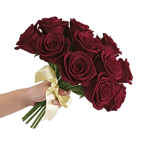 Crimson Rose Elegance