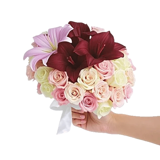 Elegant Calla Lilies