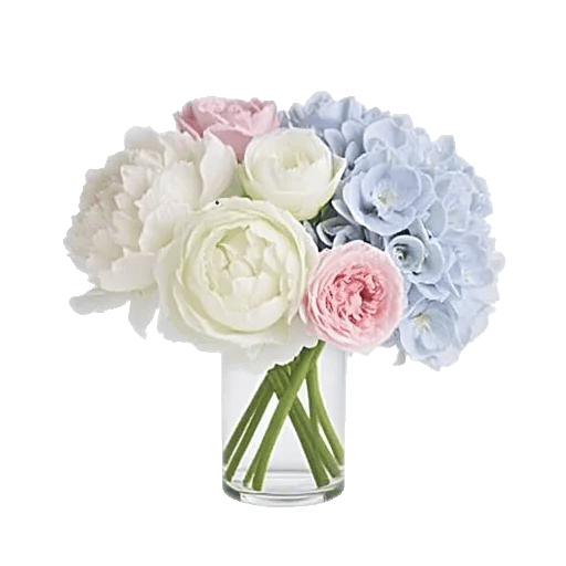 Petal Radiance Bliss