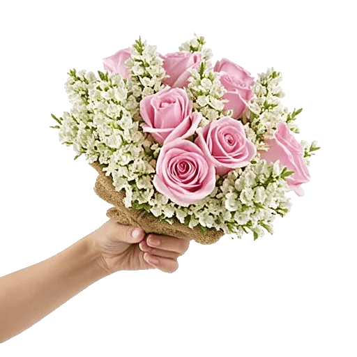 Blushing Rose Symphony