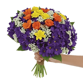 Blossom Harmony Display