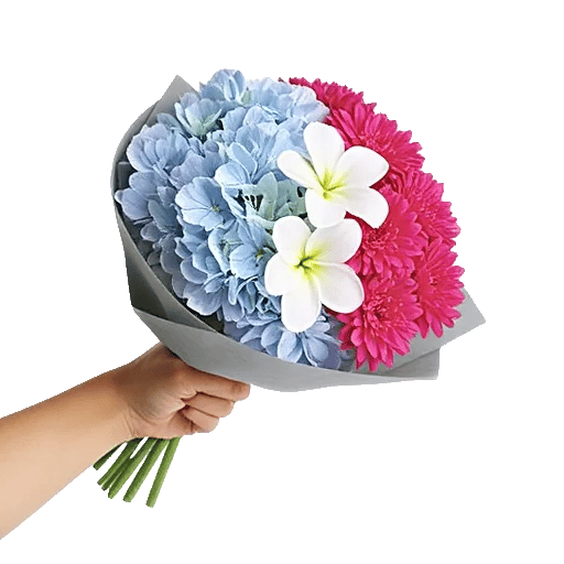 Serene Petal Harmony