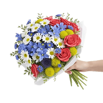 Blossom Petal Serenity