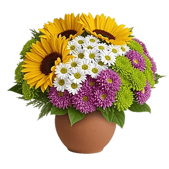 Amber Sunflower Glow