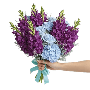 Blossom Petal Serenity