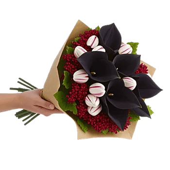 Elegant Calla Lilies