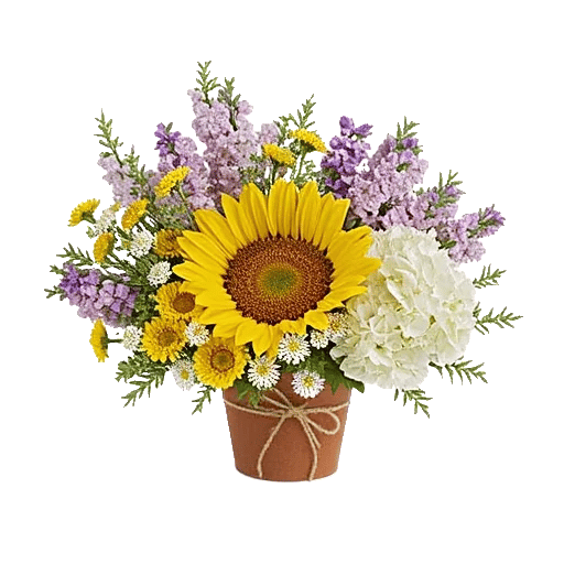 Amber Sunflower Glow