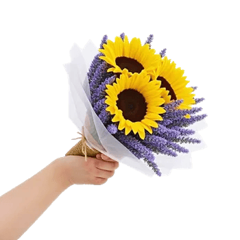 Twinkling Sunflower Dance