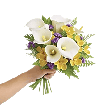 Elegant Calla Lilies
