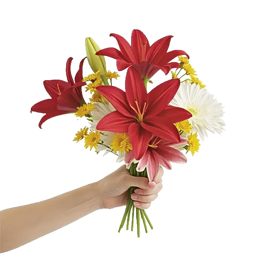 Blossom Harmony Display