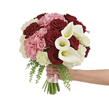 Ivory Blossom Radiance