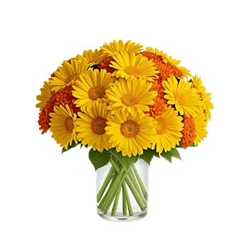 Petal Radiance Bliss