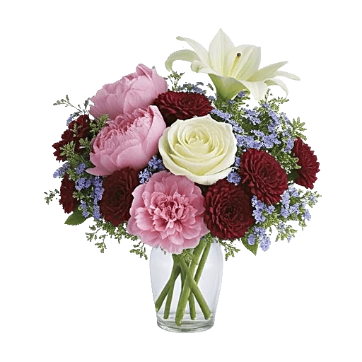 Petal Radiance Bliss