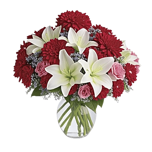 Ivory Blossom Radiance