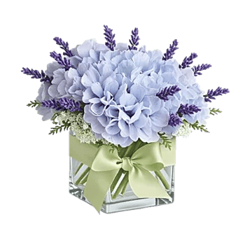 Sapphire Bloom Whisper
