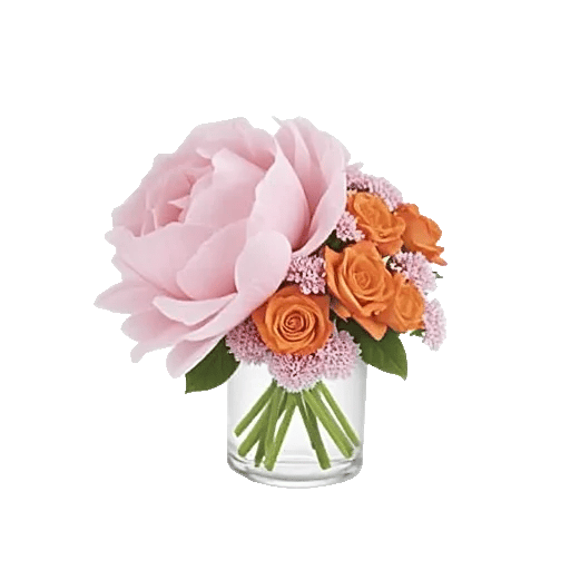 Petal Radiance Bliss