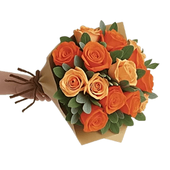 Blushing Rose Symphony