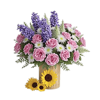 Lavender Bloom Grace