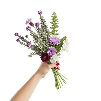 Lavender Bloom Grace