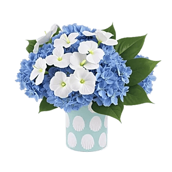 Serene Petal Harmony