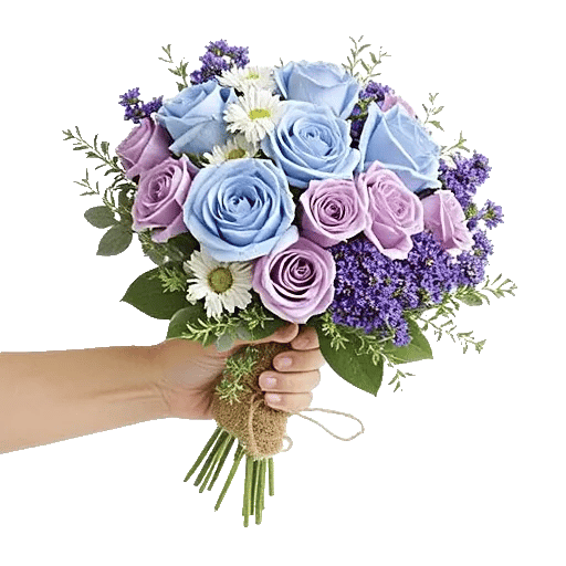Elegant Blue Roses