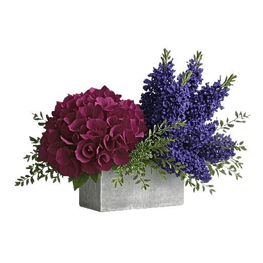 Sapphire Bloom Whisper