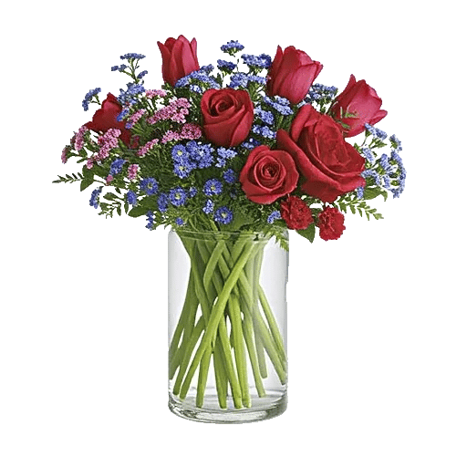 Petal Radiance Bliss
