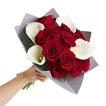 Crimson Rose Elegance