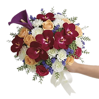 Orchid Bloom Cascade