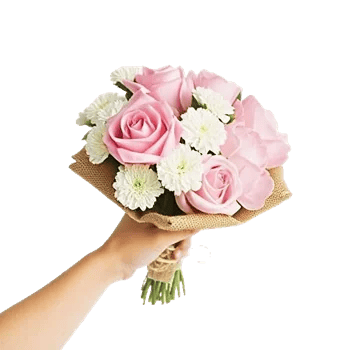 Pastel Pink Roses