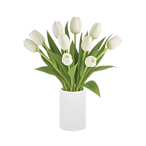 Minimalist White Orchids