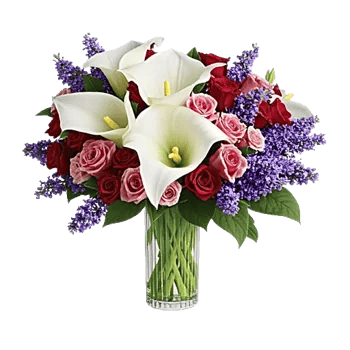 Elegant Calla Lilies