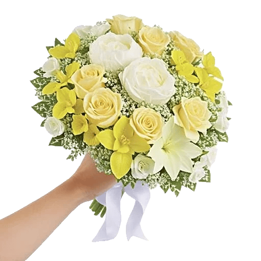 Petal Grace Harmony