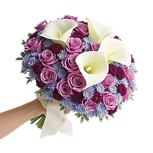 Elegant Calla Lilies