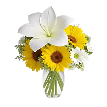 Petal Radiance Bliss