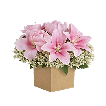 Petal Radiance Bliss