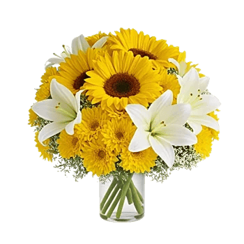 Golden Bloom Radiance