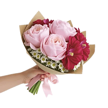 Peony Petal Harmony