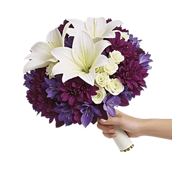 Graceful Lily Display