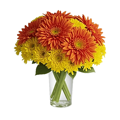 Radiant Bloom Cascade