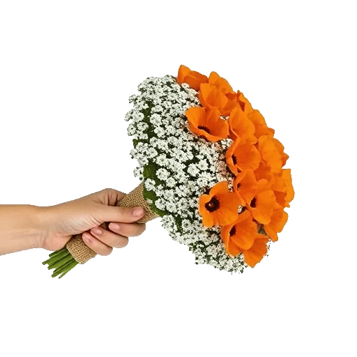 Petal Harmony Bliss