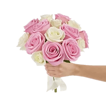 Blushing Rose Symphony