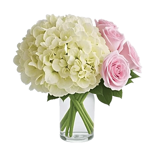 Ivory Blossom Radiance