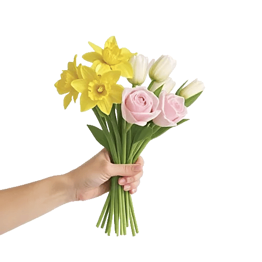 Blossom Harmony Display